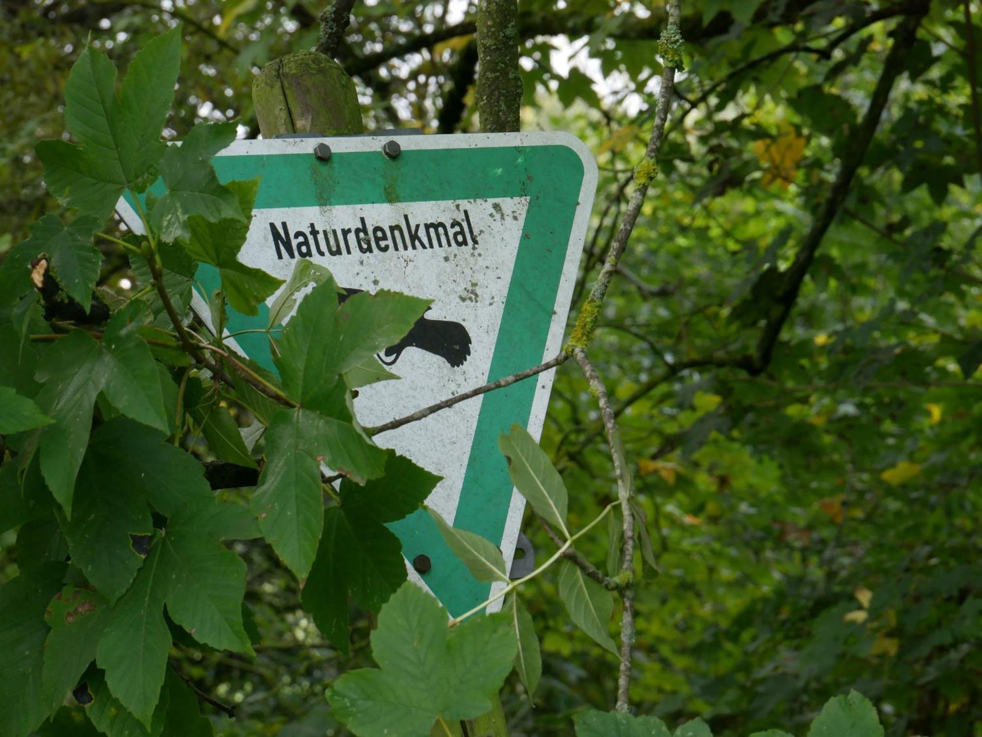 Ferienwohnungen Knodel Sachsenheim Luaran gambar